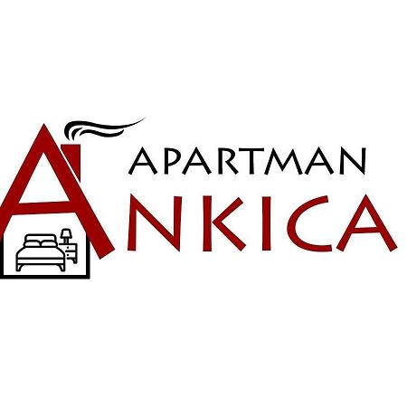 Apartman Ankica Golubac Εξωτερικό φωτογραφία