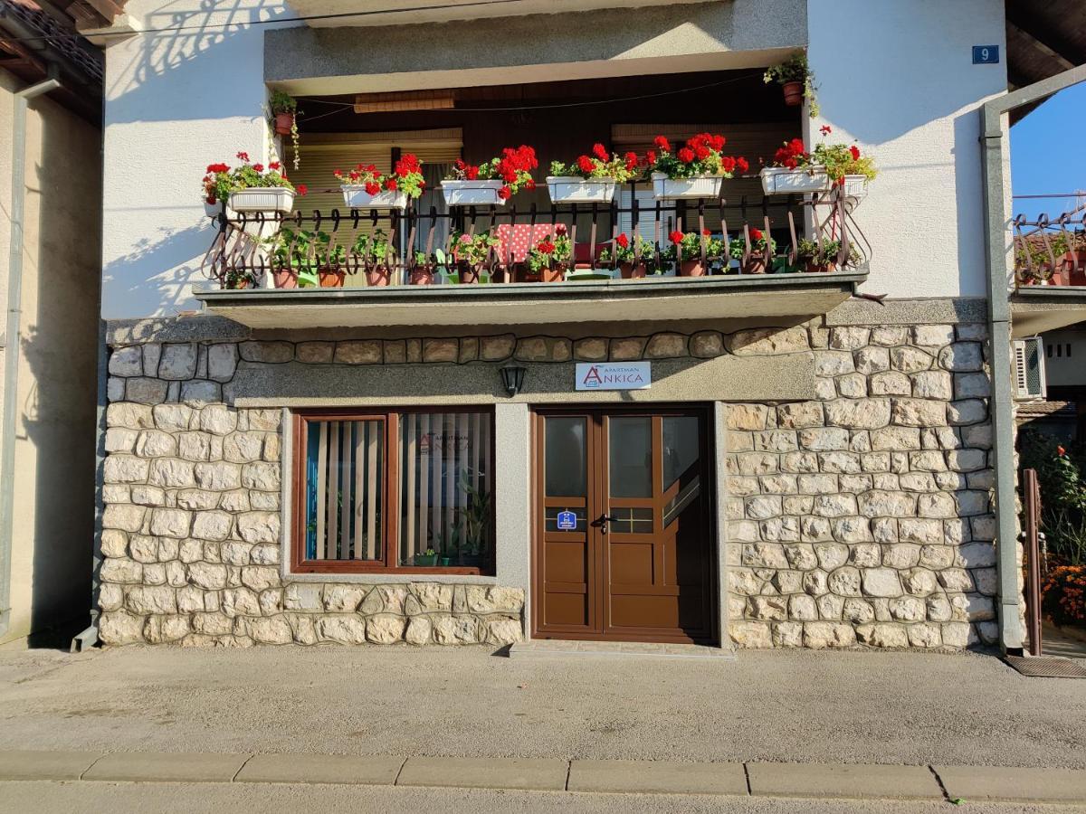 Apartman Ankica Golubac Εξωτερικό φωτογραφία